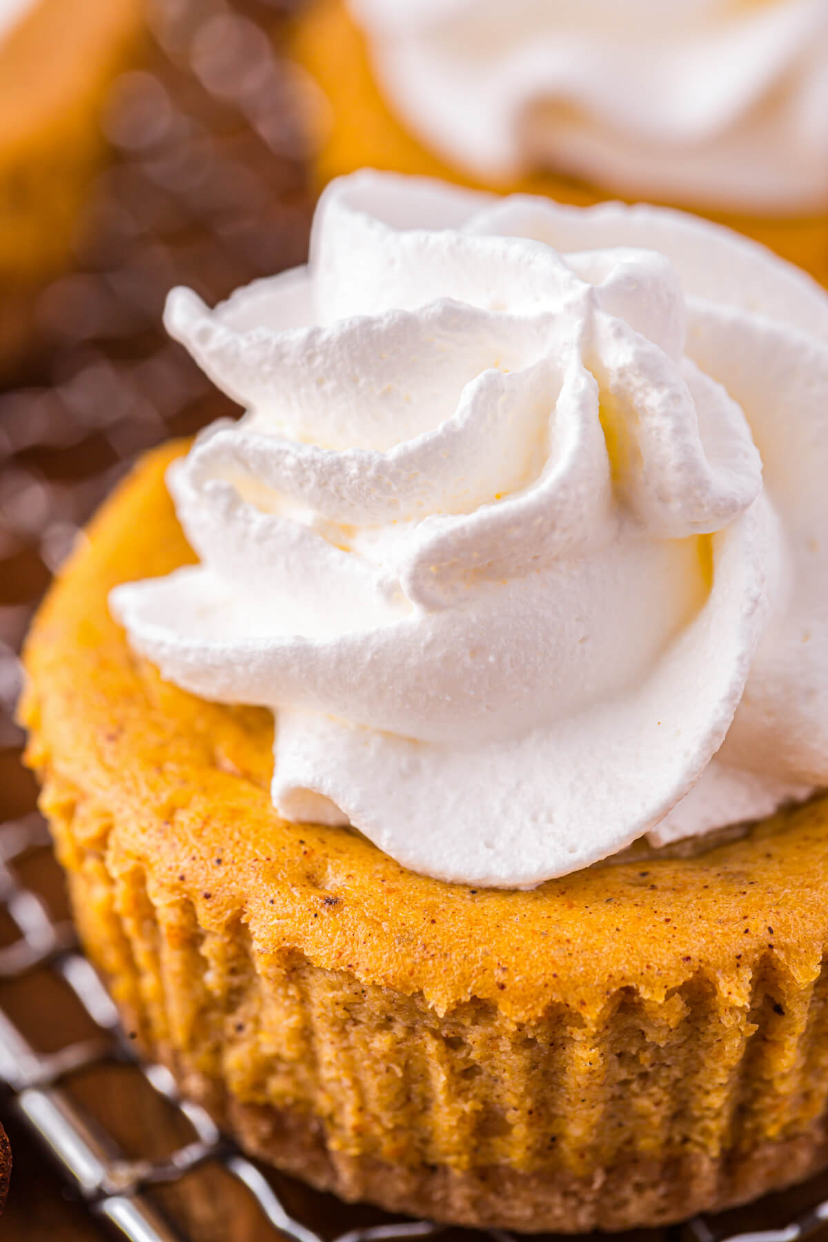 Close up of a mini pumpkin cheesecake dessert topped with whipped cream.