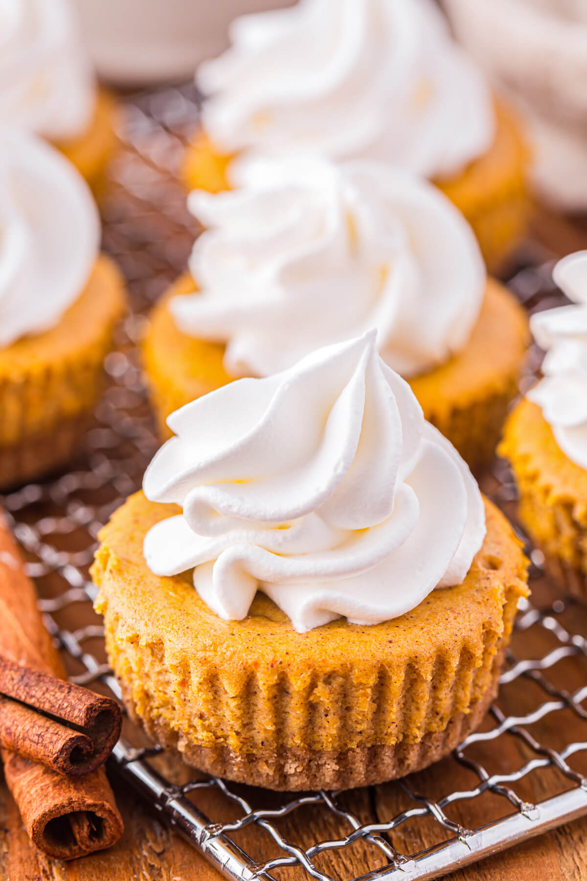Six mini pumpkin cheesecakes topped with whipped cream on a wire baking rack.