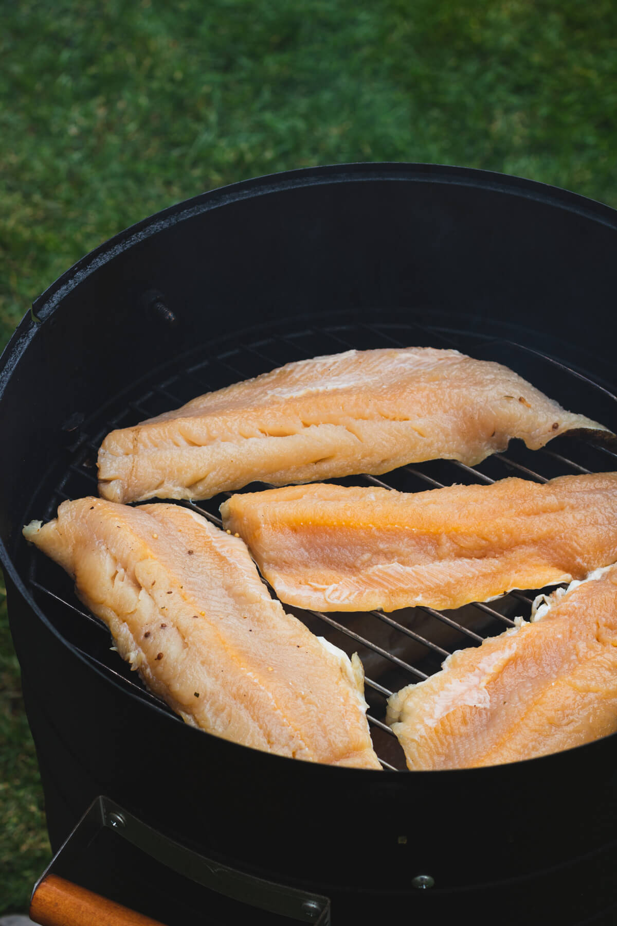 Four brined trout fillets on a smoker grill.