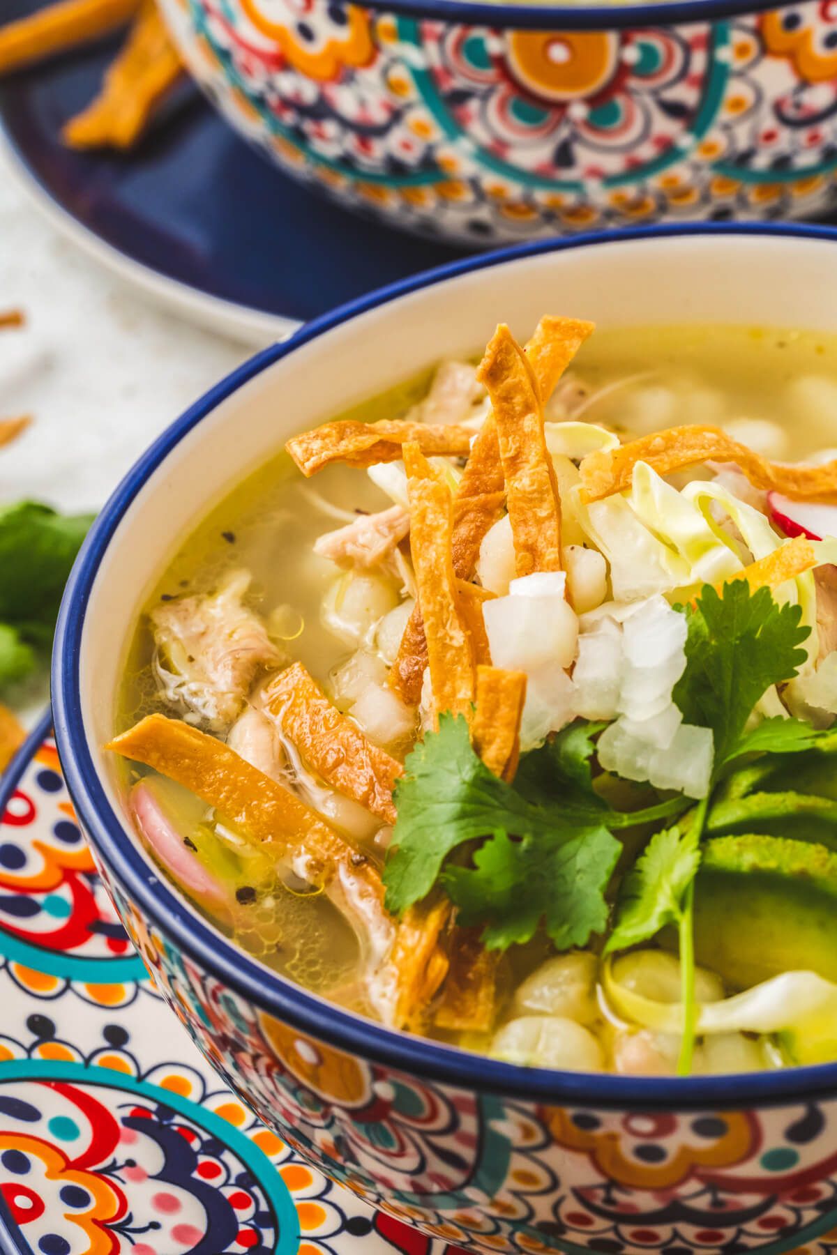 A colourful soup bowl containing Pozole blanco featuring white hominy, cilantro, radishes, cabbage, lime wedge, and strips of fried tortilla.