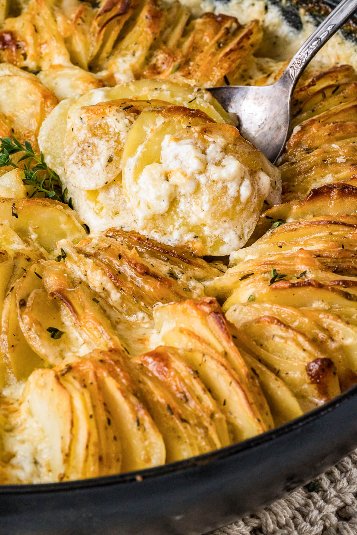 A spoon containing a serving of potatoes dauphinoise over a baking dish containing golden baked cheesy potatoes au gratin and fresh thyme leaves.