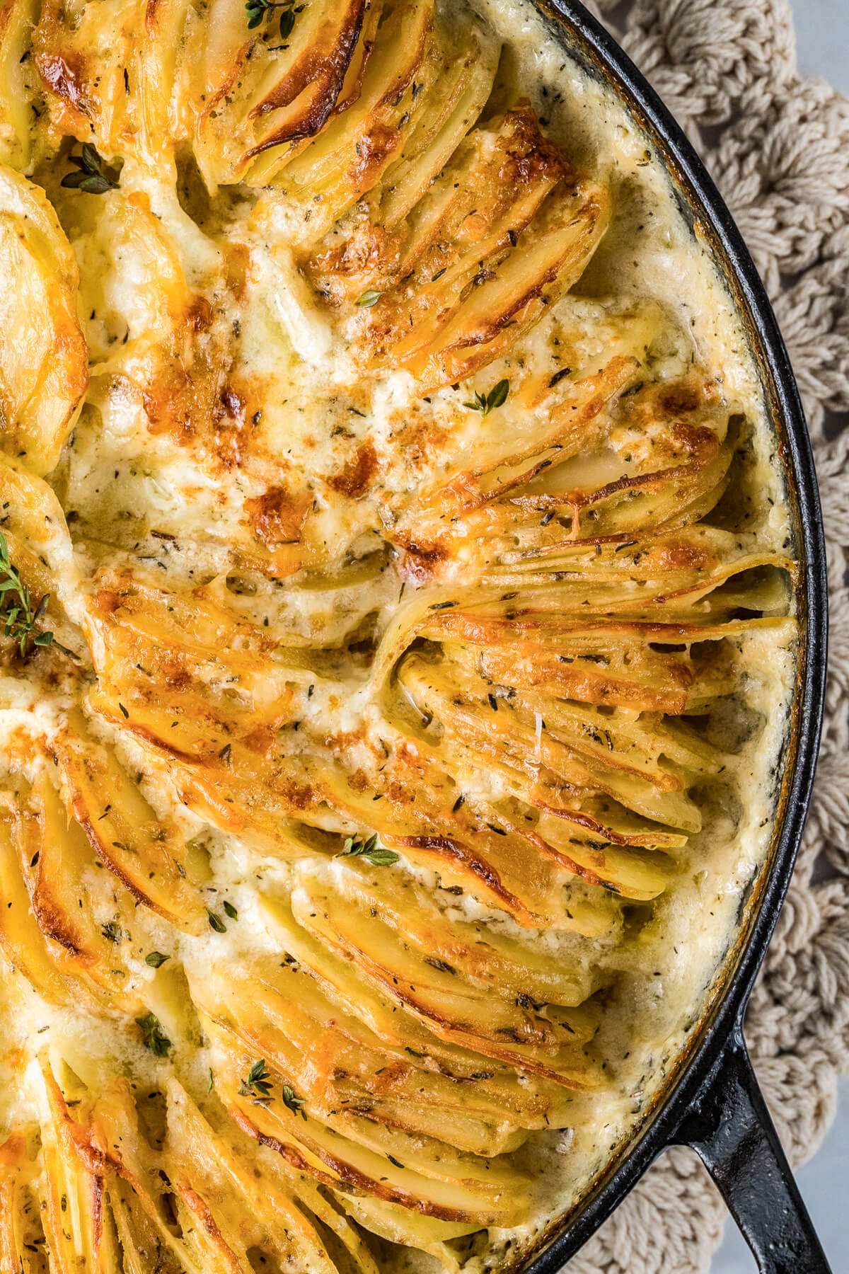 A large Staub baking dish containing golden baked cheesy potatoes au gratin and fresh thyme leaves.