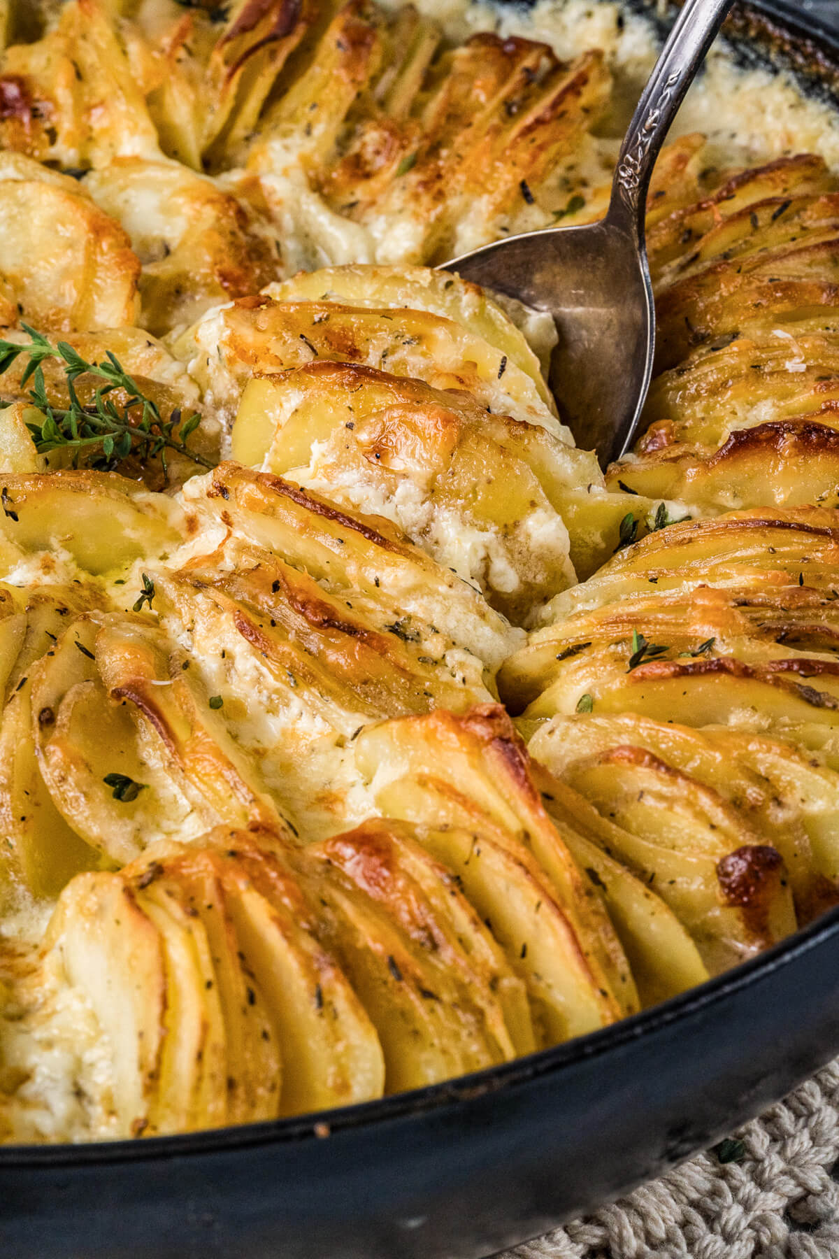 A spoon in golden baked cheesy potatoes au gratin and fresh thyme leaves.