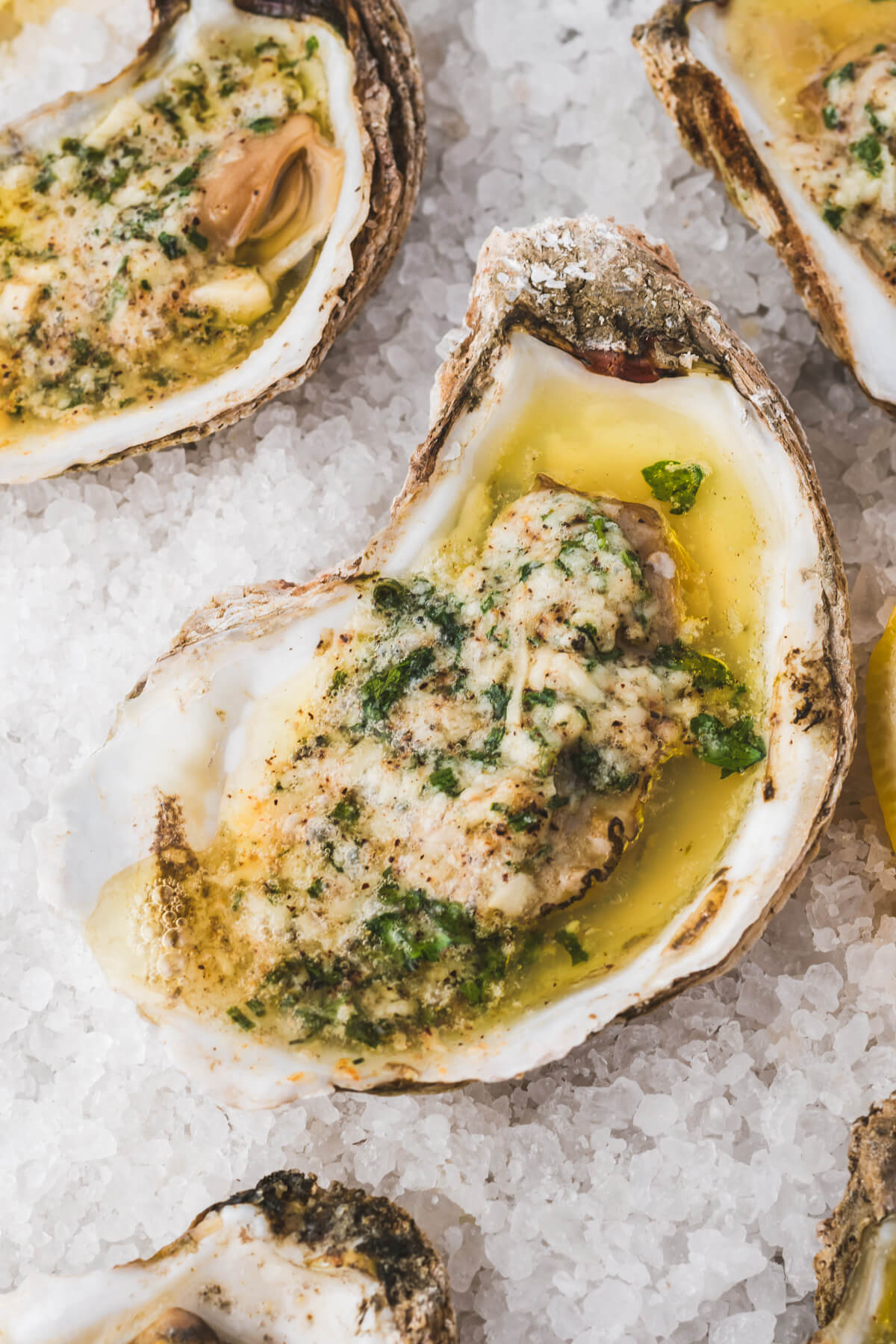 Several perfectly baked oysters topped with Parmesan cheese, garlic and fresh herbs on a bed of rock salt.