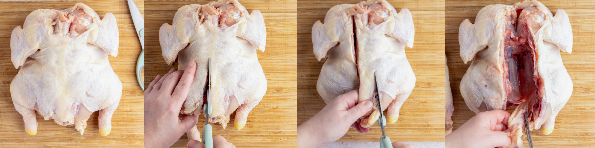 A series of process images showing how to remove the backbone of a chicken with kitchen shears.