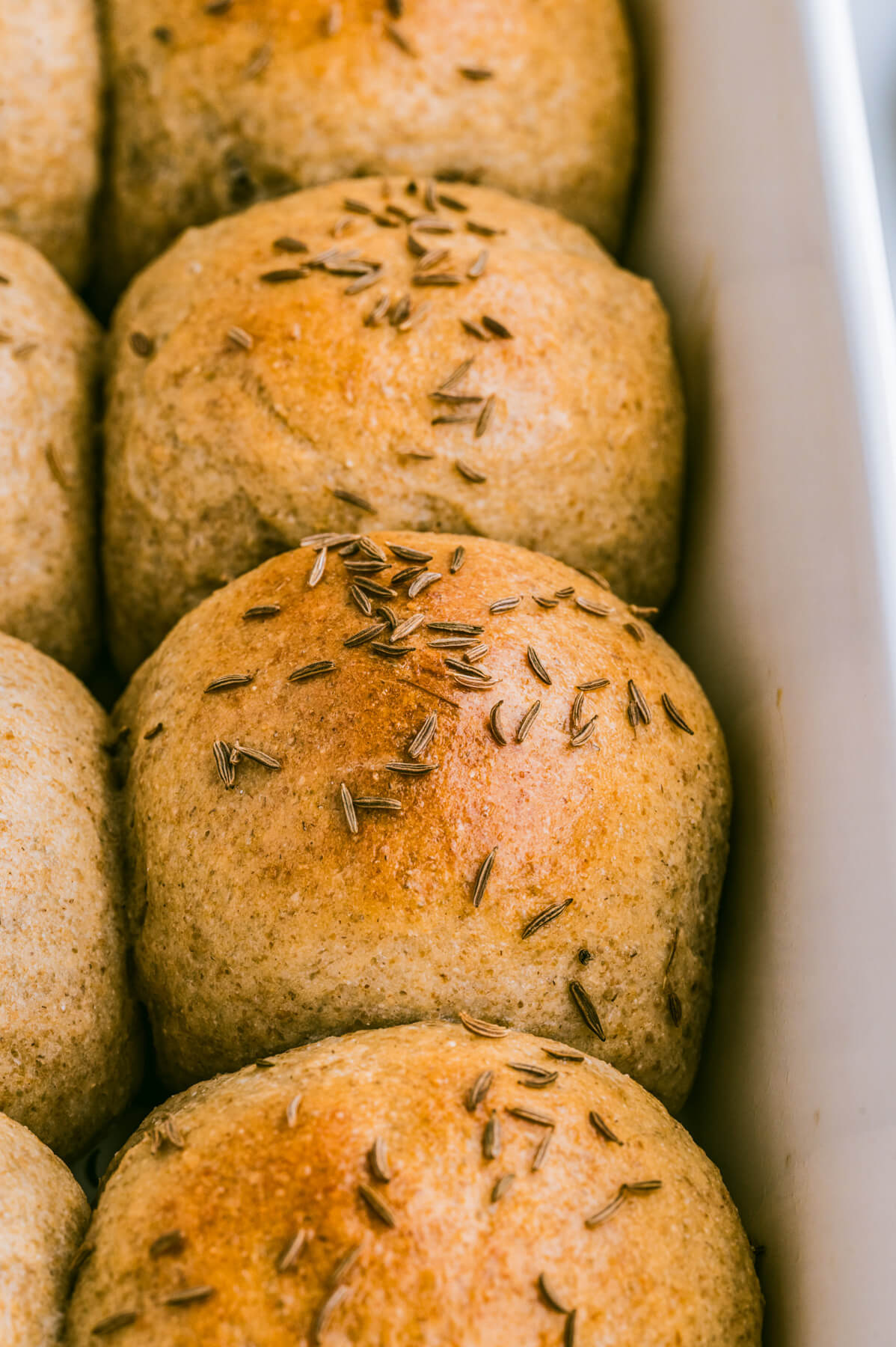 A group of golden baked rye dinner rolls dotted with caraway seeds in a baking tray.