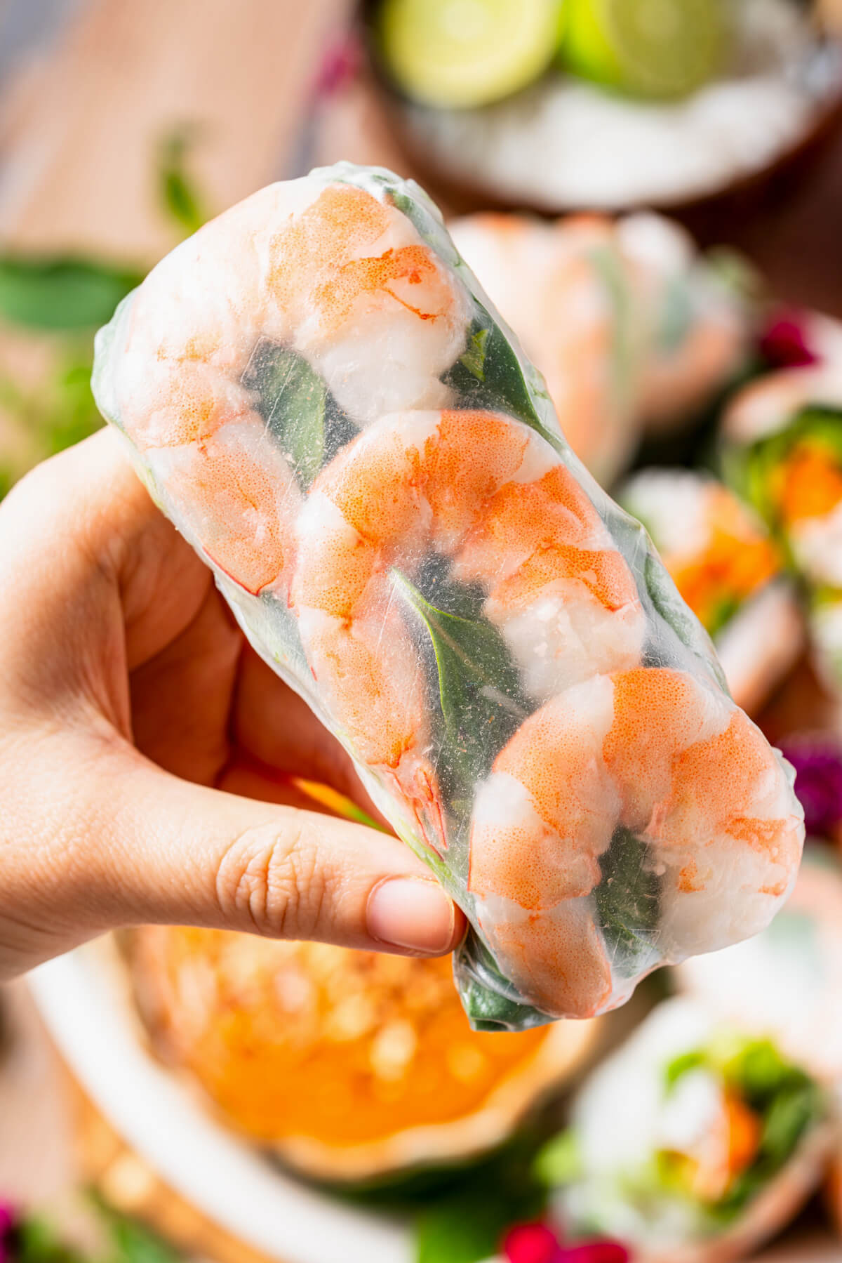 A hand holding a Vietnamese Shrimp Salad Roll.