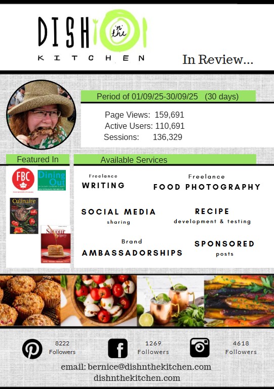 An infographic sheet featuring photography by dishnthekitchen.com along with blog information and statistics for March 2024.