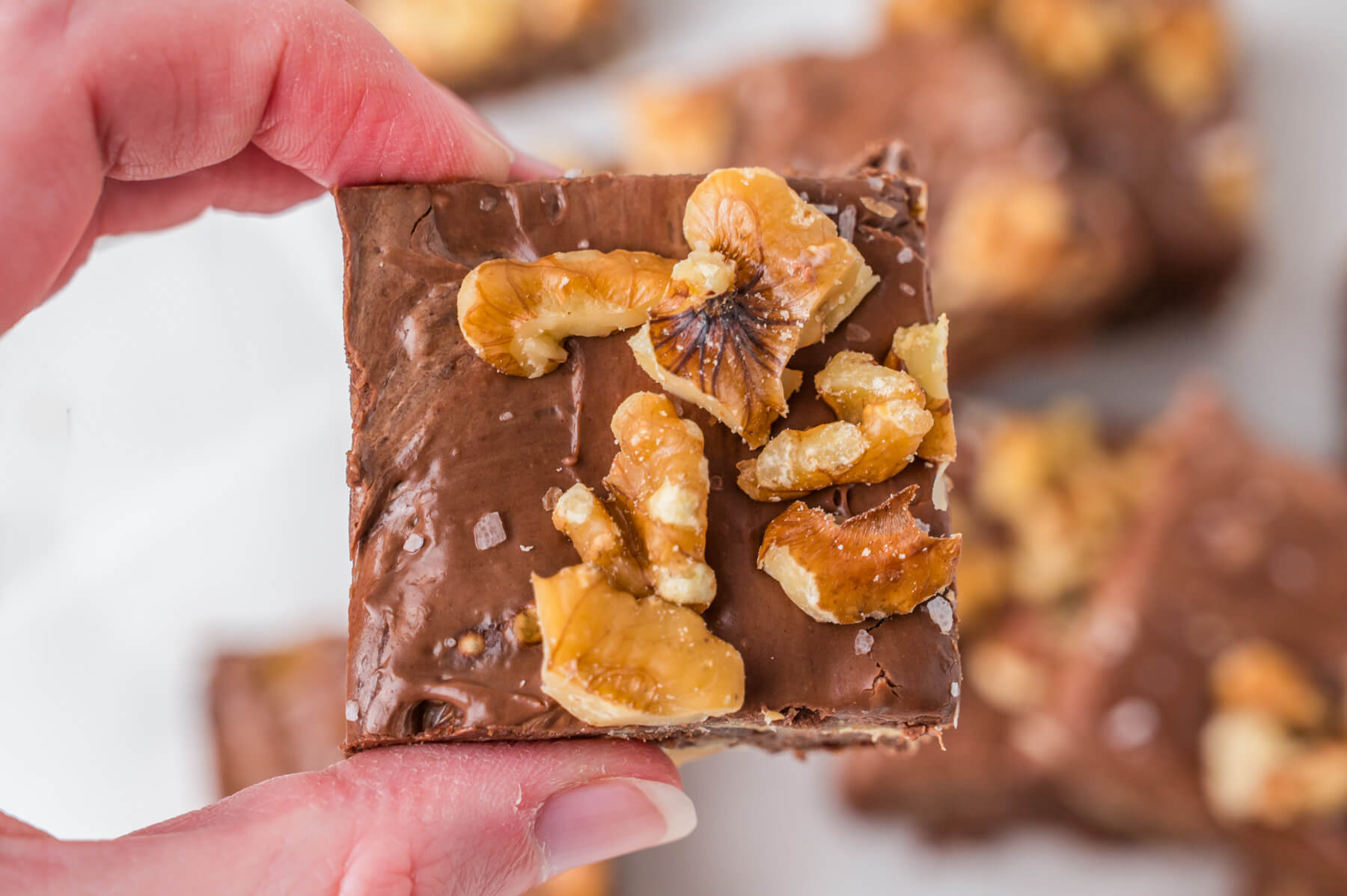 A hand holding a square of chocolate walnut fudge.