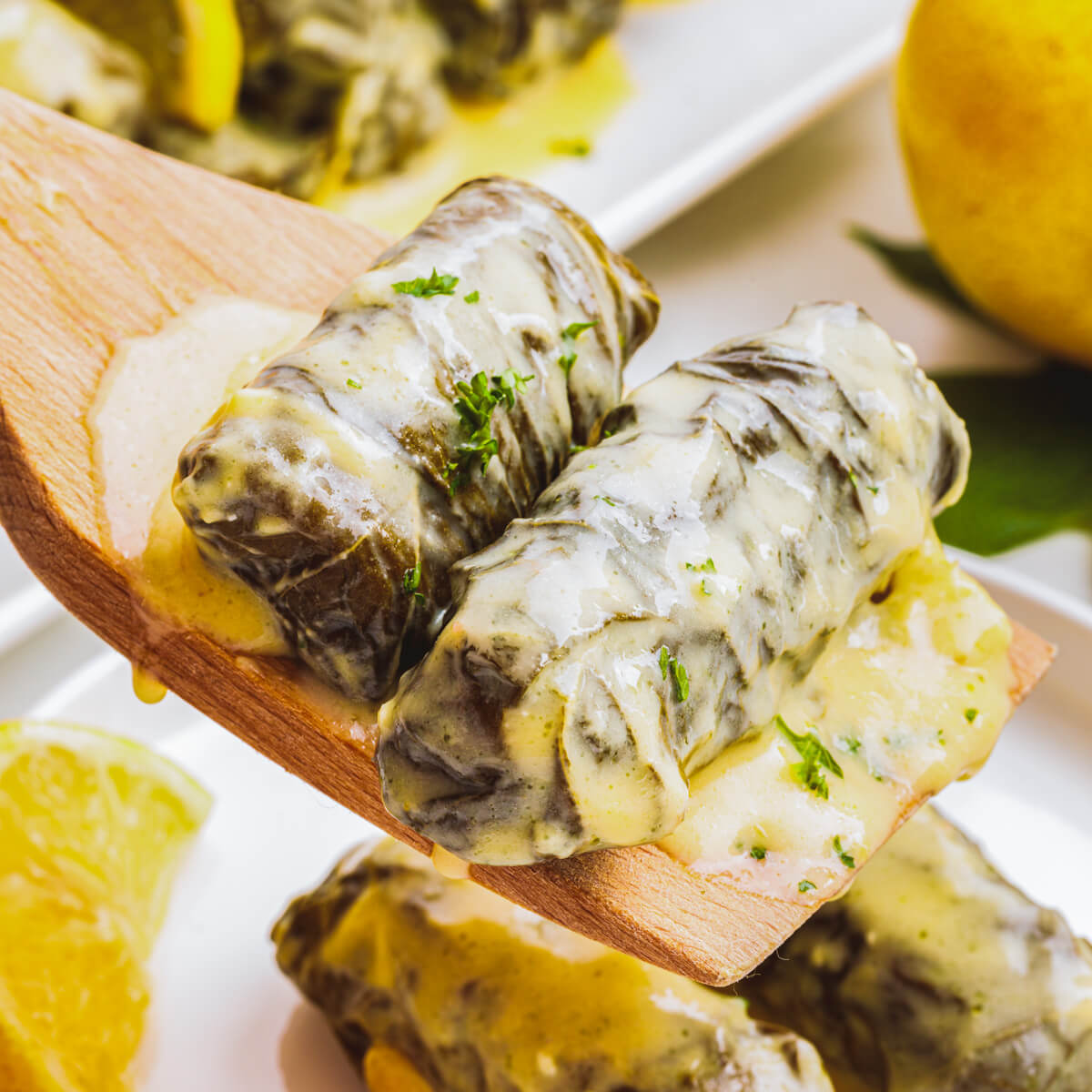 A wooden serving spoon holding two dolmathes coated in a creamy avgolemono sauce.
