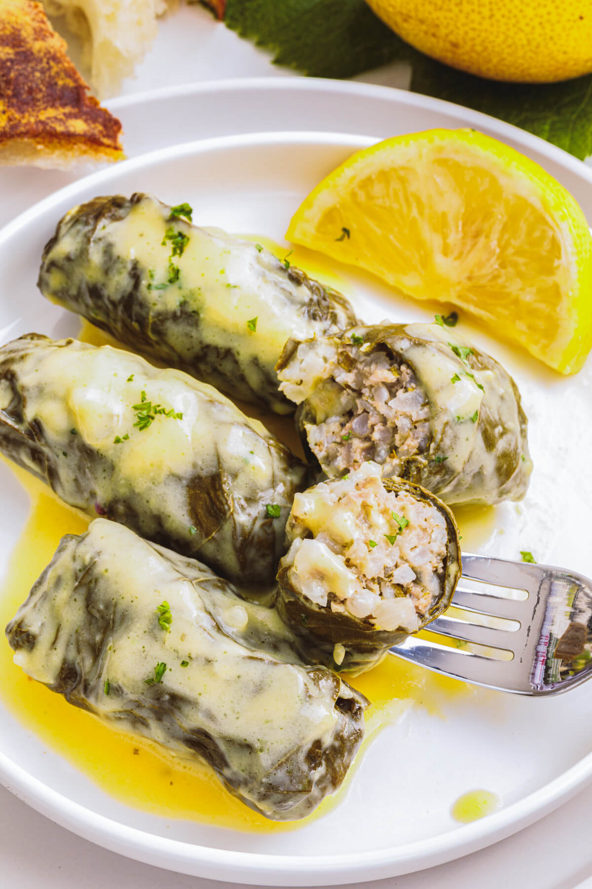 A small plate holding several dolmathes in avgolemono sauce and a slice of lemon with a fork cutting though one dolma.