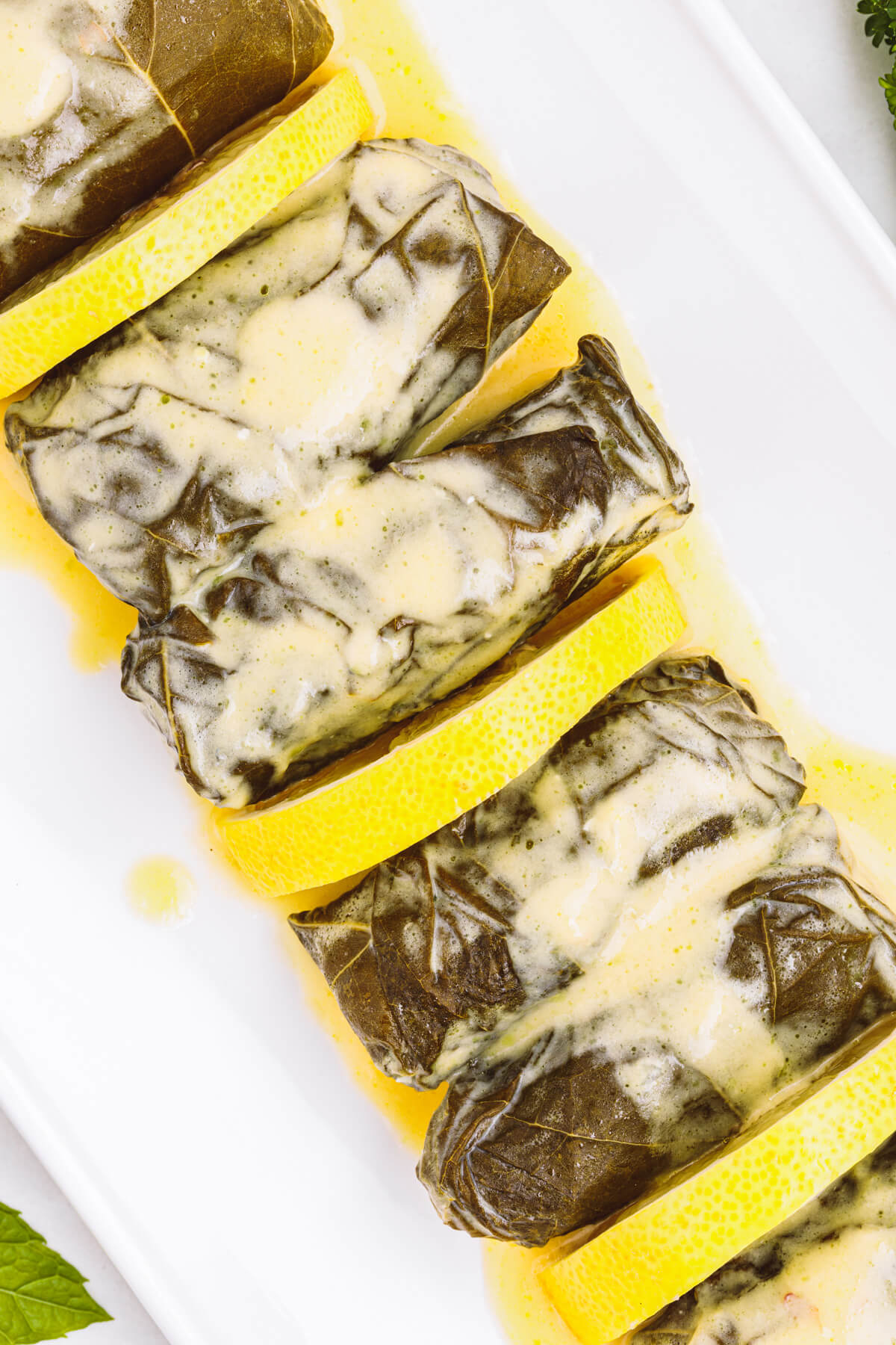 A white platter containing stuffed grape vine leaves with lemon slices in a creamy yellow sauce.