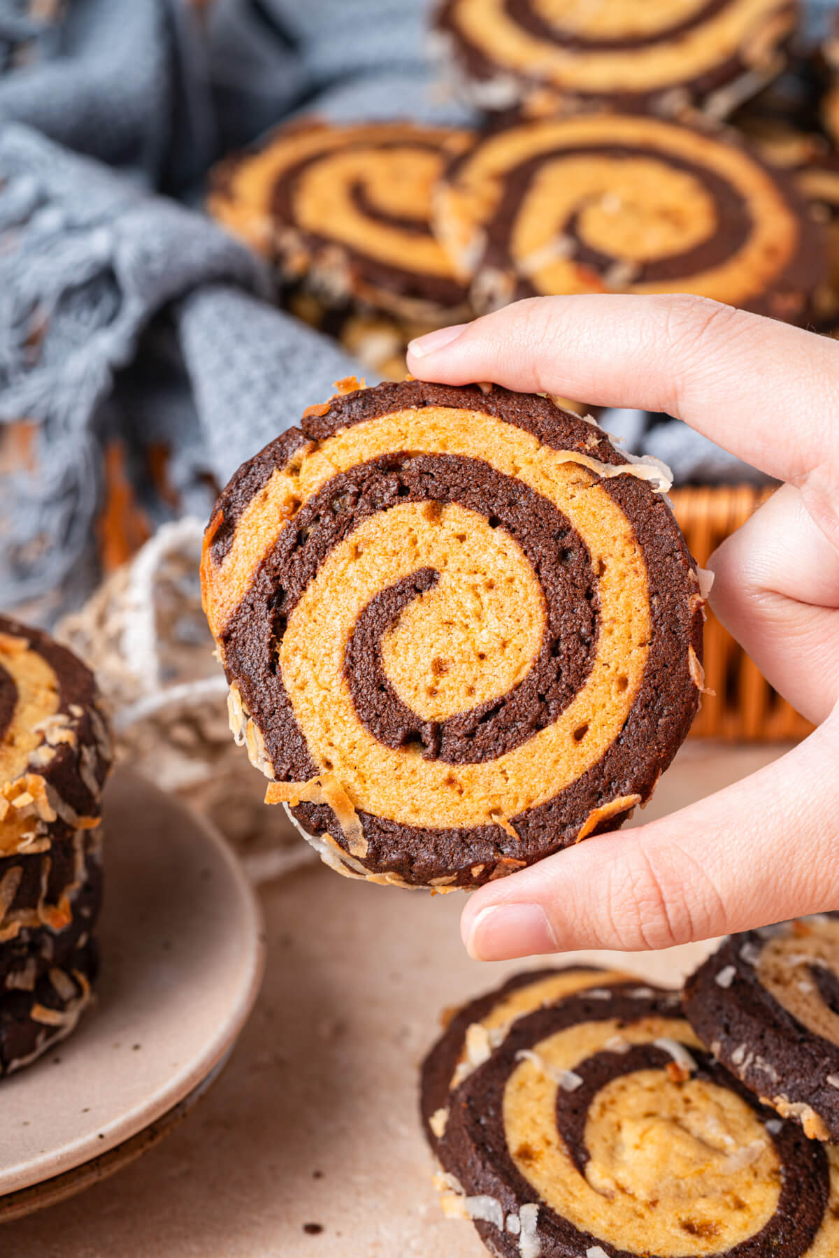 A hand holding one Vanilla and Chocolate pinwheel cookie.