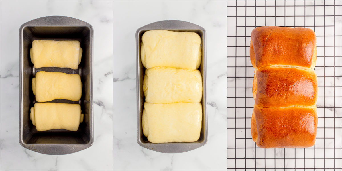 A series of process images showing how to fill and bake a shokupan bread pan.