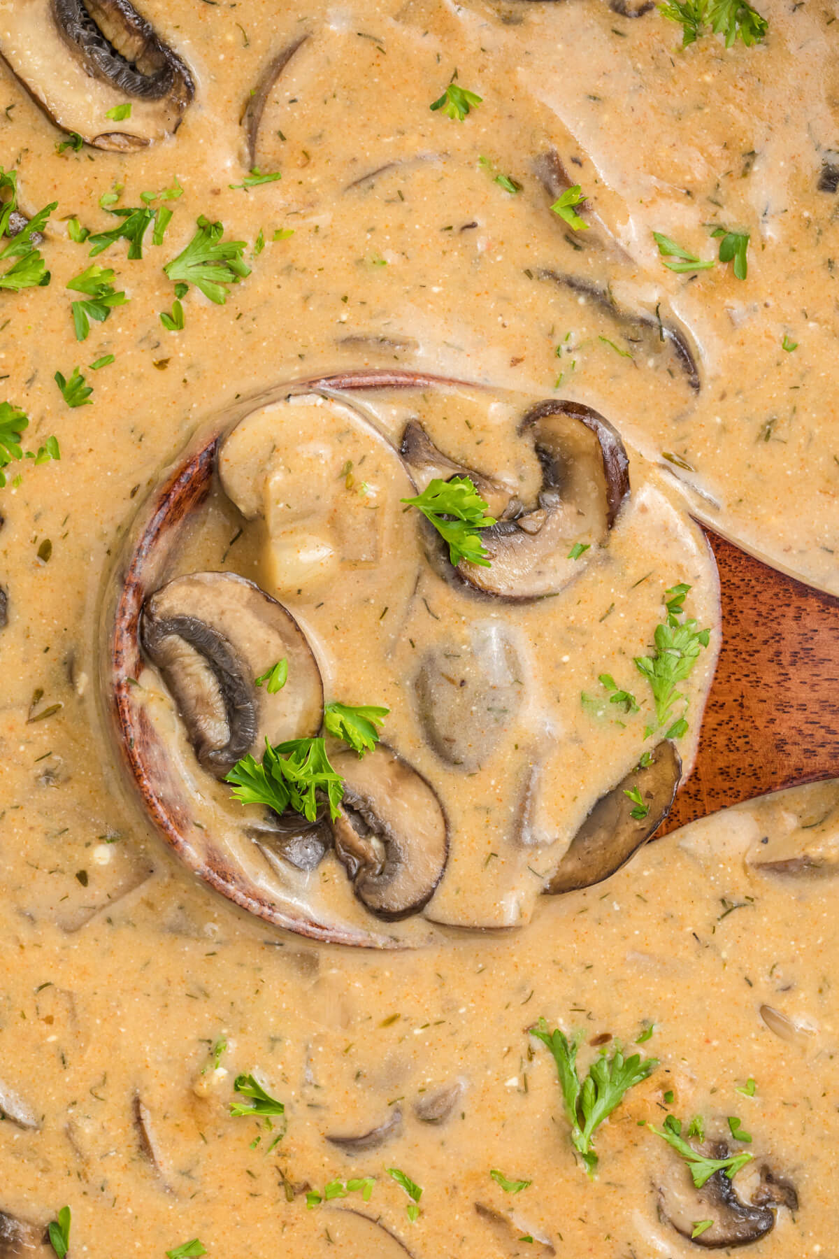A wooden ladle rests in a black Dutch oven full of rich creamy Hungarian Mushroom Soup topped with vibrant green herbs.