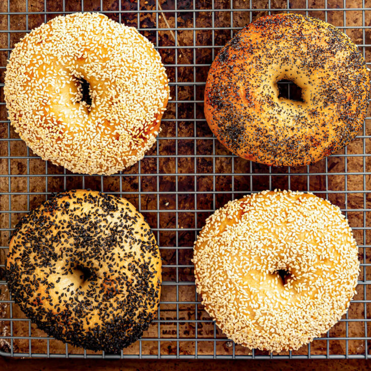 A group of freshly baked bagels with various toppings on a wire rack.