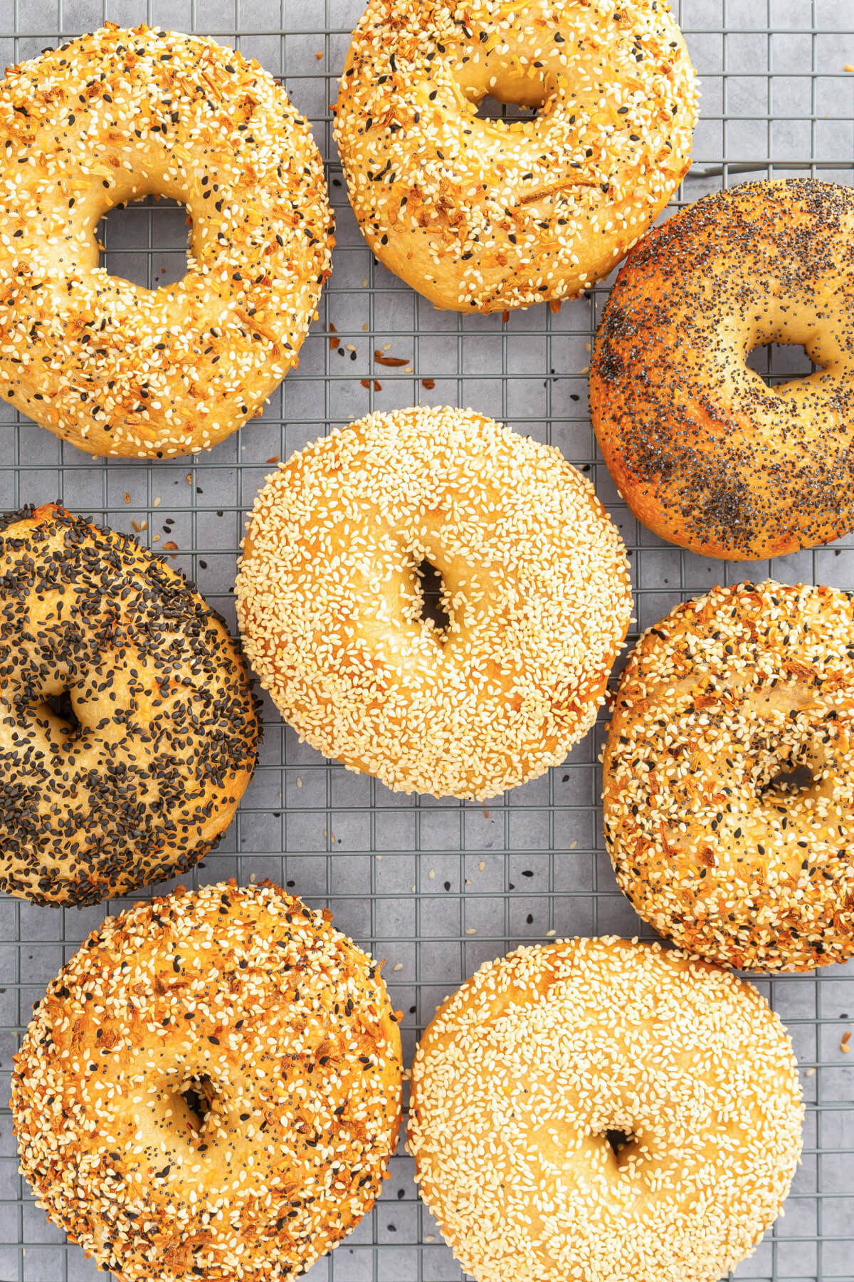 A group of freshly baked bagels with various toppings on a wire rack.