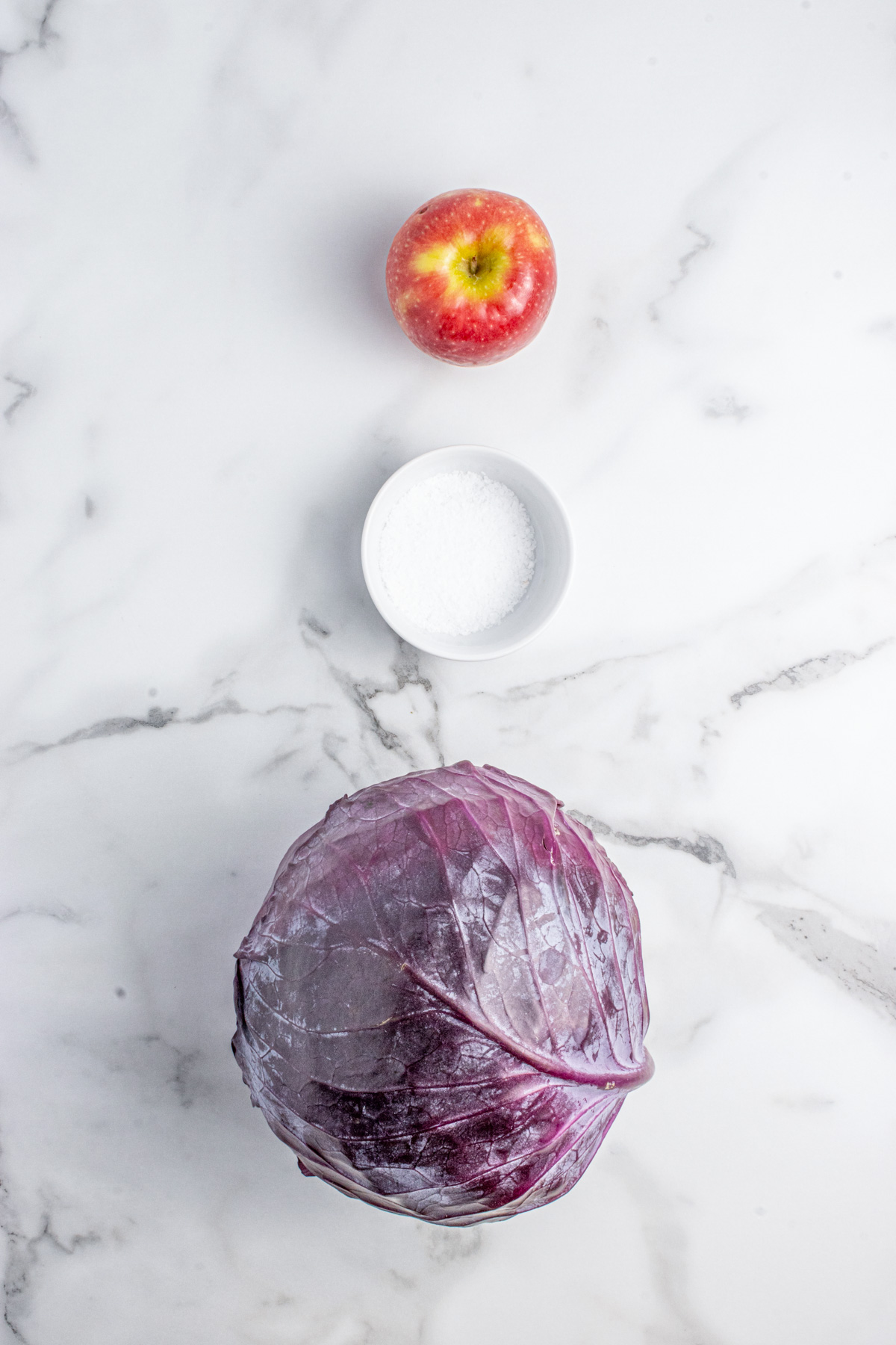 Ingredients required to make red cabbage sauerkraut.
