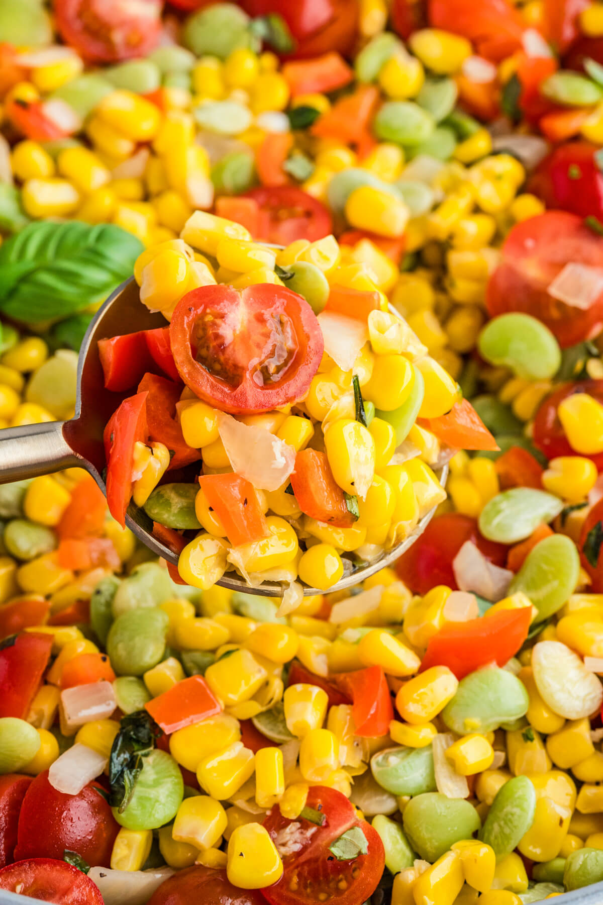 Vibrant yellow corn succotash featuring green lima beans, red bell peppers, cherry tomatoes, and fresh basil.