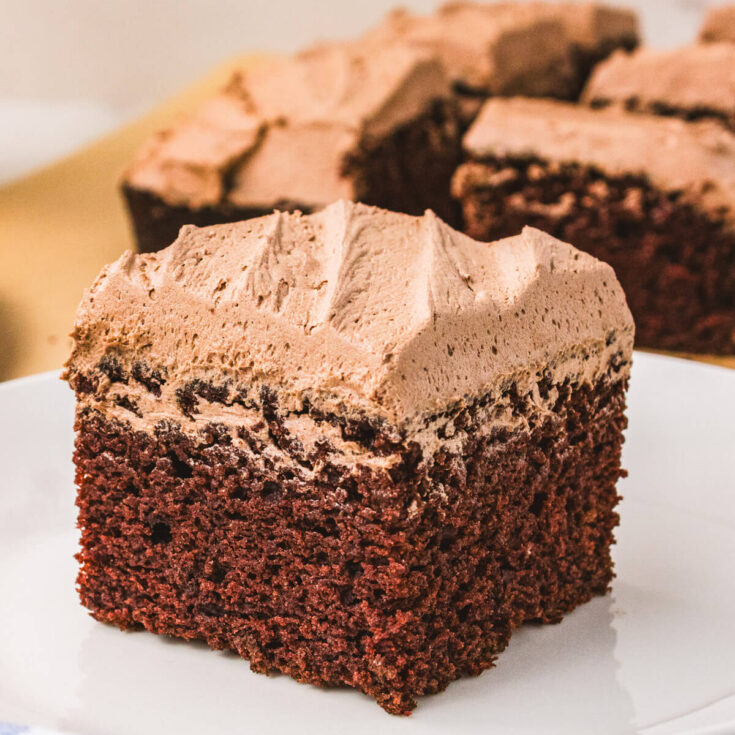 A large piece of frosted chocolate wacky cake on a white dessert plate.