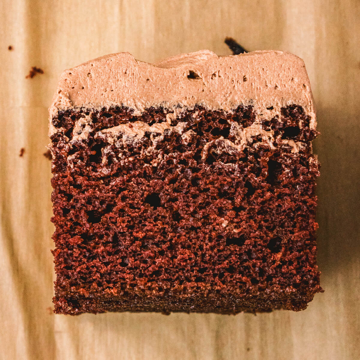 One square of frosted chocolate wacky cake flipped on it's side to show the cake texture.