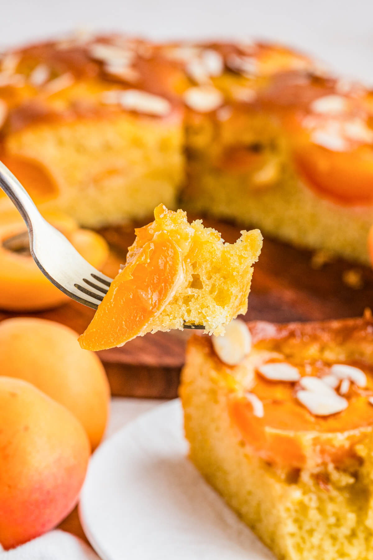 A fork holding a bite of almond apricot cake in front of the slice and a few fresh apricots.