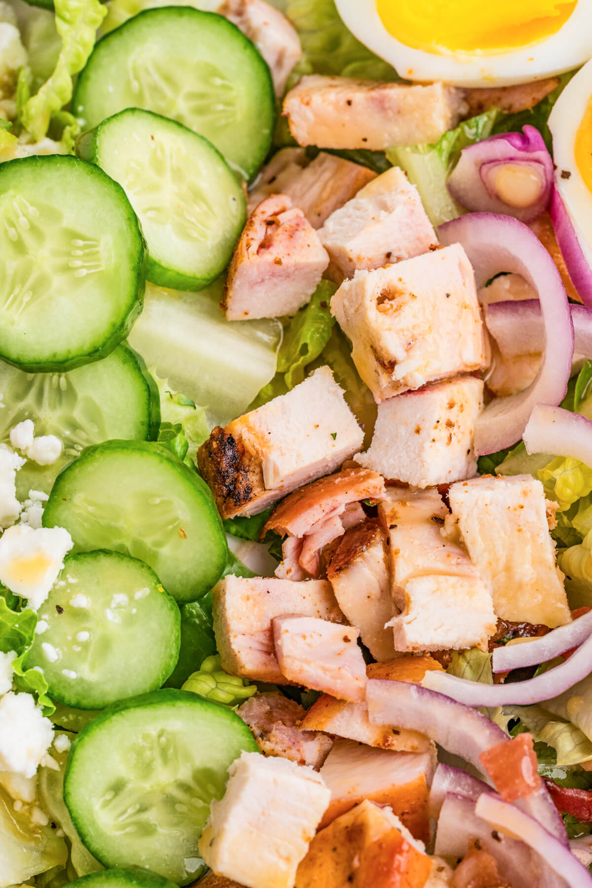 A close photo of a pleasantly arranged Chicken Cobb Salad with boiled eggs, bacon, avocado, red onions, sliced chicken, and cucumbers.
