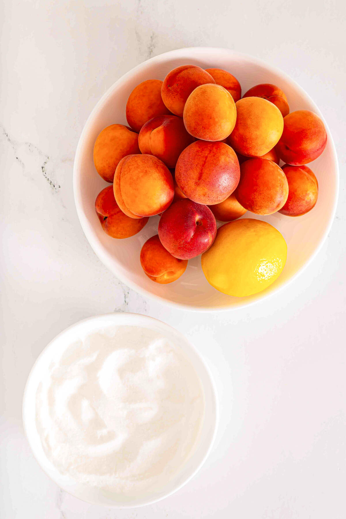 Ingredients required to make Apricot Jam.