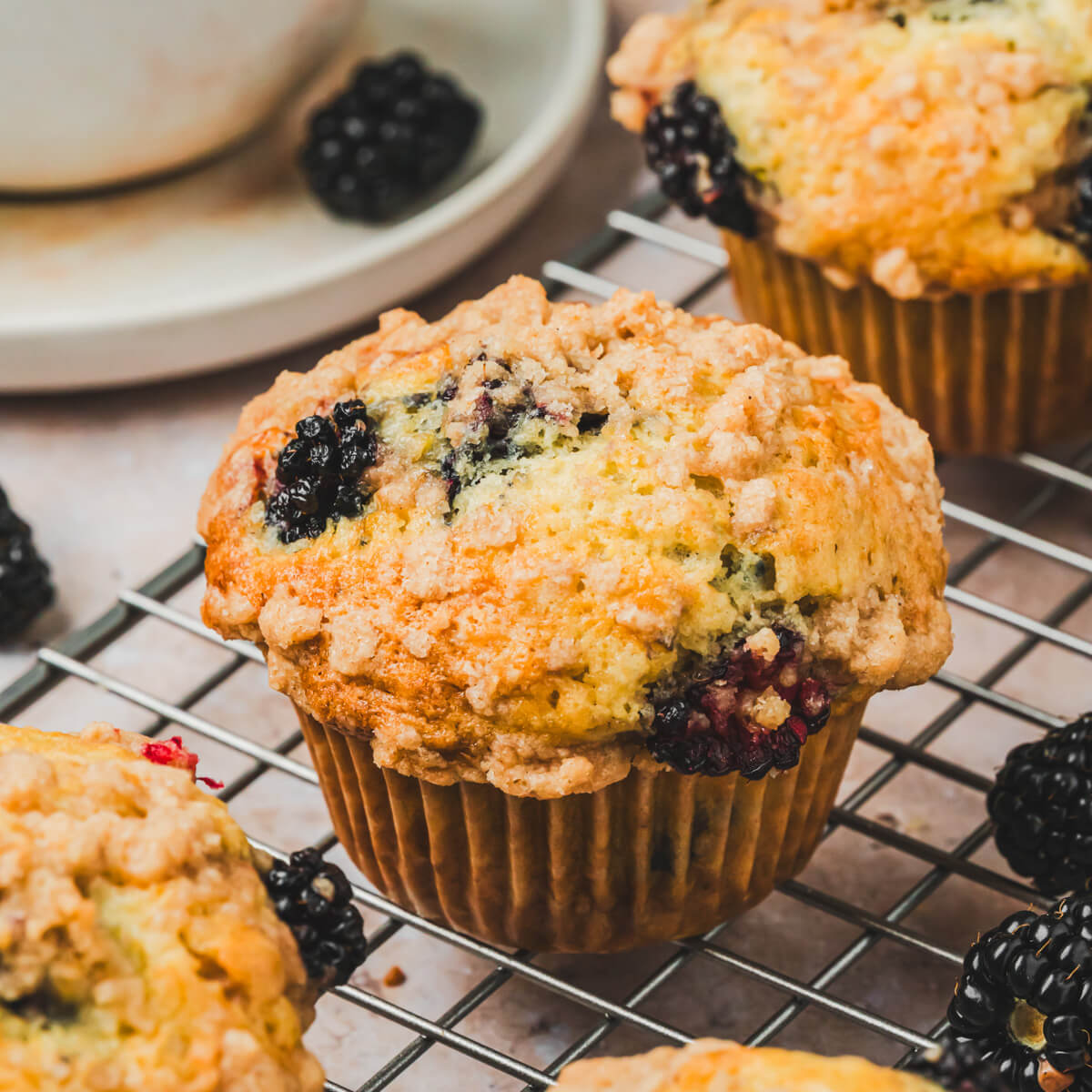 Golden baked blackberry muffins on a wire cooling rack.