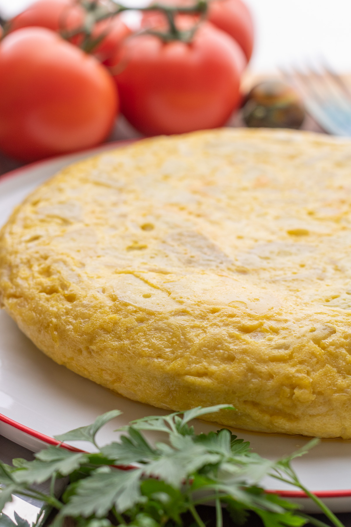 A perfect round yellow Spanish Tortilla or Tortilla de Patatas on a white plate with a red rim surrounded by tomatoes.
